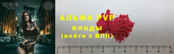 крисы Белоозёрский
